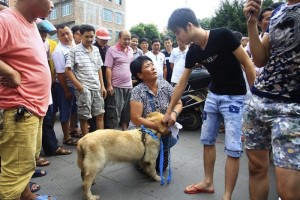 Chinese-Dog-Festival-1200