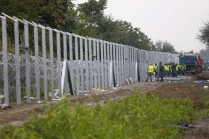 fence2 (1)